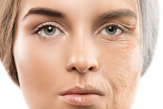 Putting the Brakes on Your Skin’s Aging Process